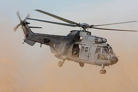 Niederländische Luftwaffe AS532 Cougar von Dirk Jan de Ridder - Ridder Aero Media