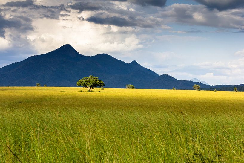 Savane Africaine par Hans de Bruyne