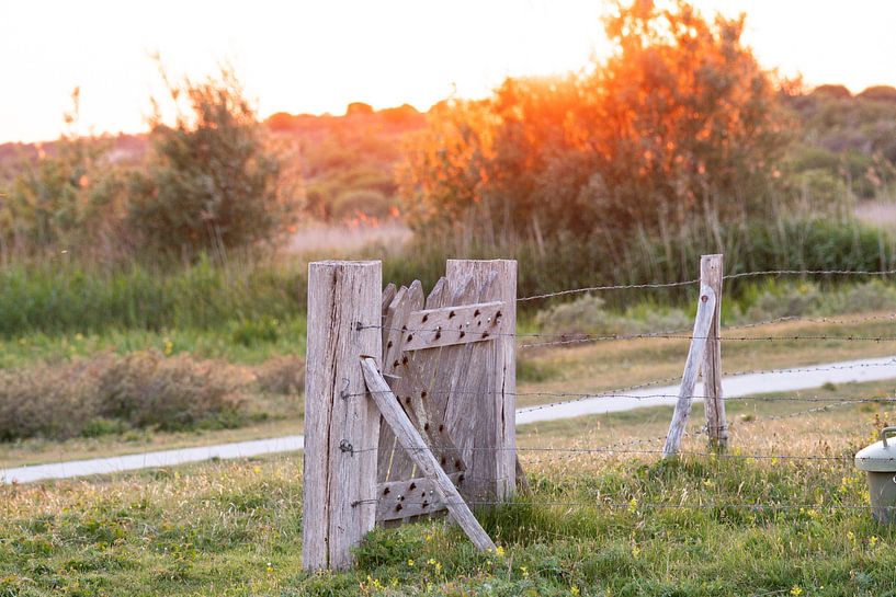 Fence in the water catchment area by Louise Poortvliet