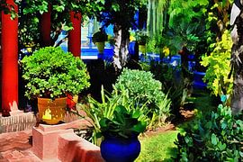 Colourful Garden Display Marrakesh by Dorothy Berry-Lound