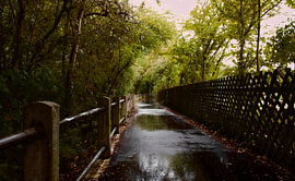 Rainy walk by Armanto Brouka