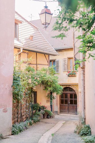 Pink and yellow houses in an old street in France | Europe travel photography | Pastel photo print