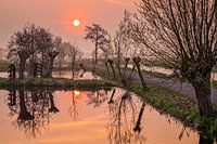 Zonsopkomst in Bergambacht