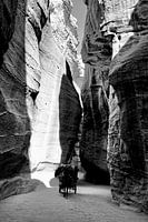 The road to the ancient city of Petra