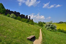 Devil's Wall in the Harz Mountains by Karin Jähne