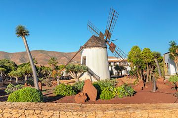 Windmolen op Fuerteventura van Markus Lange