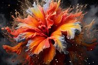 Bloom Burst