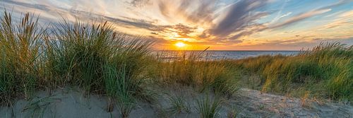 Paysage de dunes en panorama