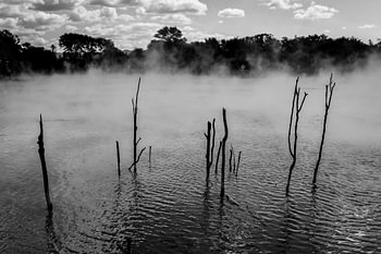 Rotorua New Zealand