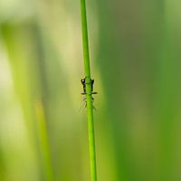 Verstecken und Suchen