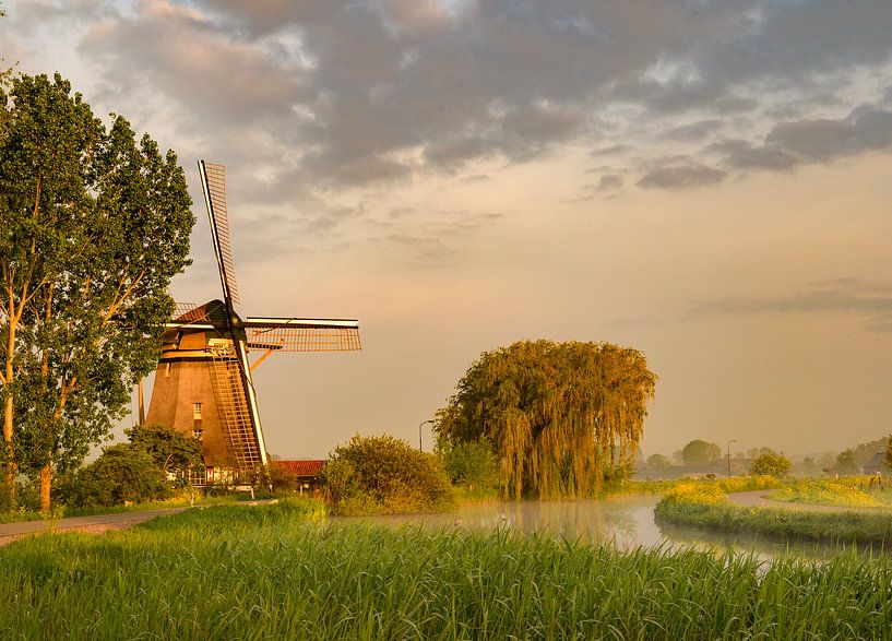 Oud hollandse molen in het ochtendlicht van Michel Knikker