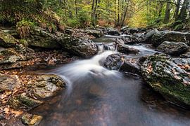 Vallee de la Hoëgne sur Martin de Bock