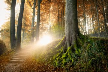 Stairway to Heaven van Arjen Roos