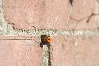 Rusty screw in old brick wall