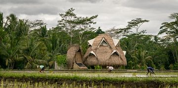 Ecologisch huis in rijstvelden op Bali