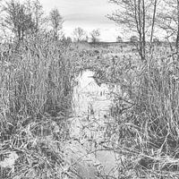 Frieseveen Wasser