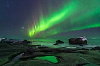 Northern Lights Dance Above Lofoten’s Coast