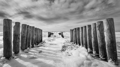 Les brise-lames sur la côte zélandaise en noir et blanc