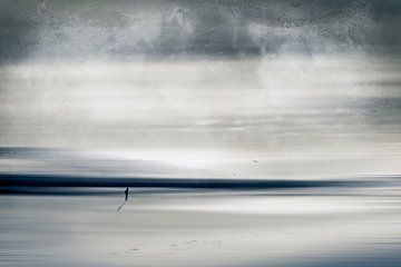 Eenzame wandelaar op het strand van Dirk Wüstenhagen