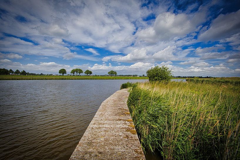 Boardwalk in the Wogmeer by peterheinspictures