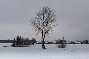 Winter in de Allgäu