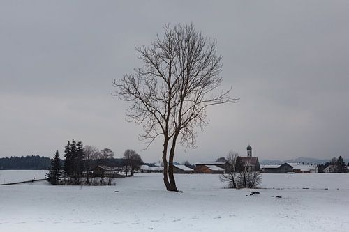 Winter in de Allgäu