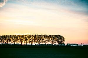 Zonsondergang in een vlak landschap in Flevoland van Sjoerd van der Wal Fotografie