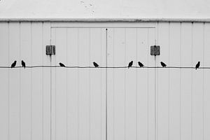 Detail van vogels op een gevel van een strandhuisje van Blond Beeld