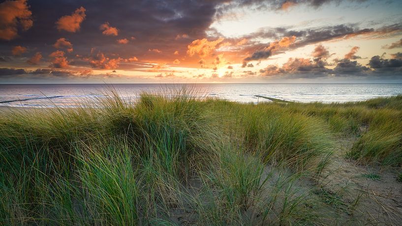 les dunes et la mer du Nord au coucher du soleil par eric van der eijk