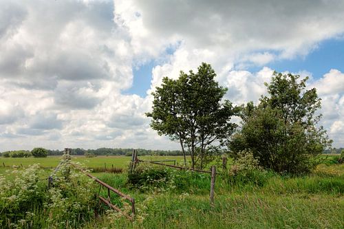 Landschap Lucaswolde Groningen