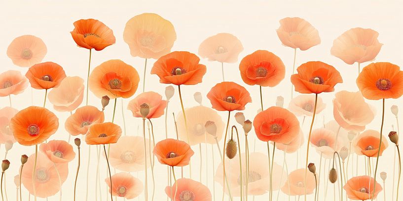 Mohnblumen von Bert Nijholt