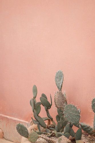 Botanische Studie 10