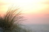 Winterse zonsondergang op het strand