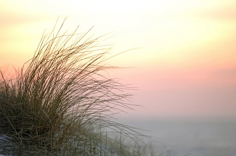 Winter sunset on the beach by Emi Barendse