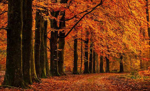 Nunspeet Pasopweg