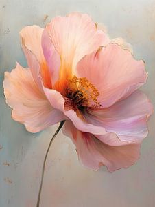 Pivoine