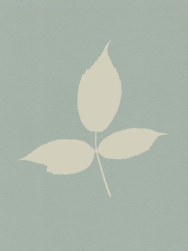 Minimalistisch botanisch. Blad in wit op salie.