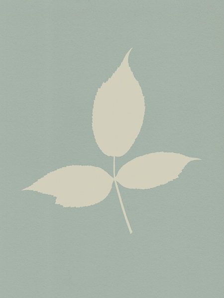 Minimalist Botanical. Leaf in white on sage. by Dina Dankers