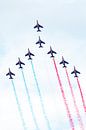 Patrouille de France met rood, wit en blauwe rook van Wim Stolwerk thumbnail