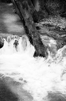 Naturaufnahmen Schwäbische Alb Gönninger Seen im Winter
