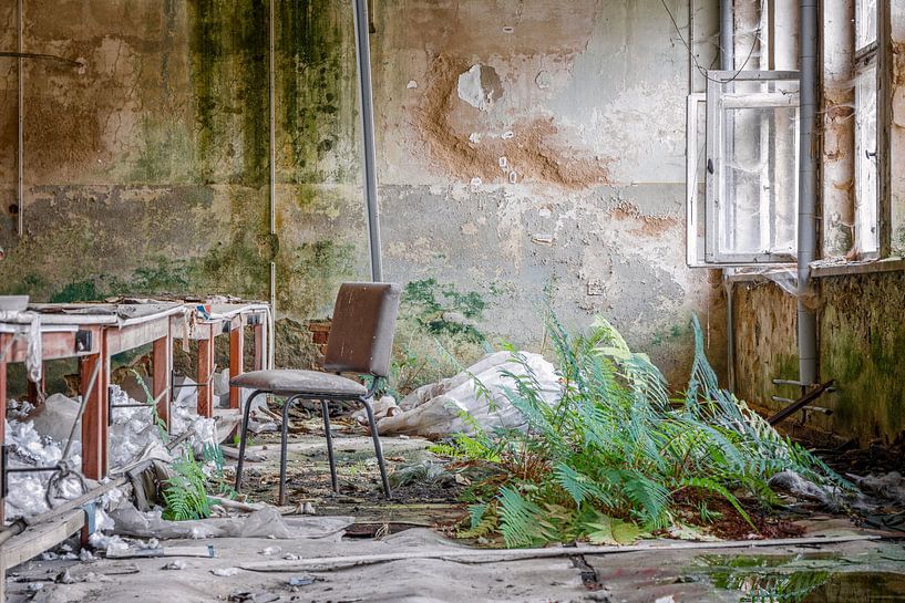 Hierbei handelt es sich um Fotos die einfach nicht zuordnen kann  -  sie sind simpel und einfach von Gentleman of Decay