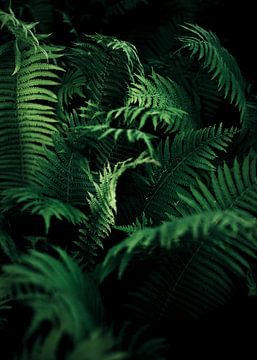 Greens