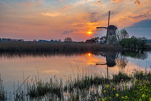 Molen in Kinderdijk van Eelke Brandsma