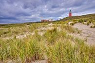 Duinlandschap met de vuurtoren van Texel van eric van der eijk thumbnail