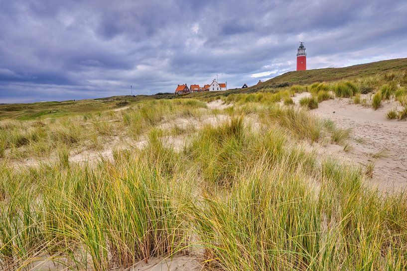 Duinlandschap met de vuurtoren van Texel van eric van der eijk