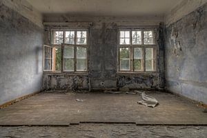The Blue Room