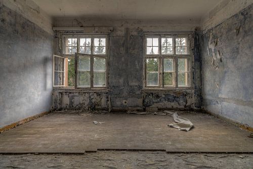 The Blue Room