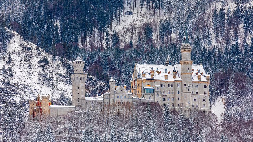 Neuschwanstein Castle, Allgäu, Bavaria, Germany by Henk Meijer Photography