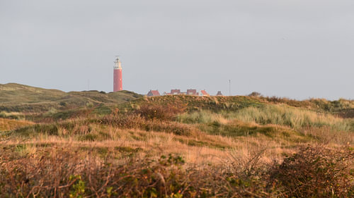 Vuurtoren van Texel