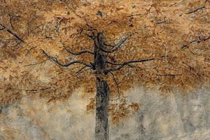 Arbre d'automne